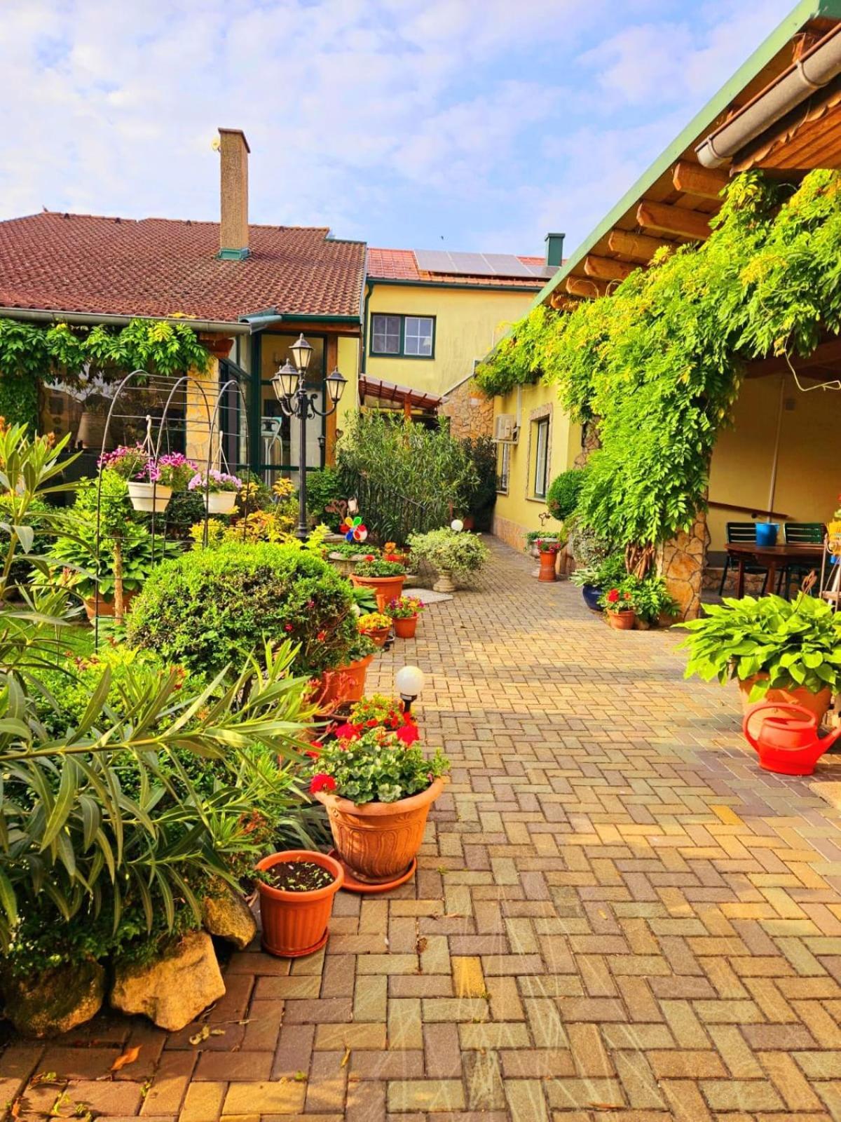 Ferienwohnung Koppi Pomogy Kültér fotó
