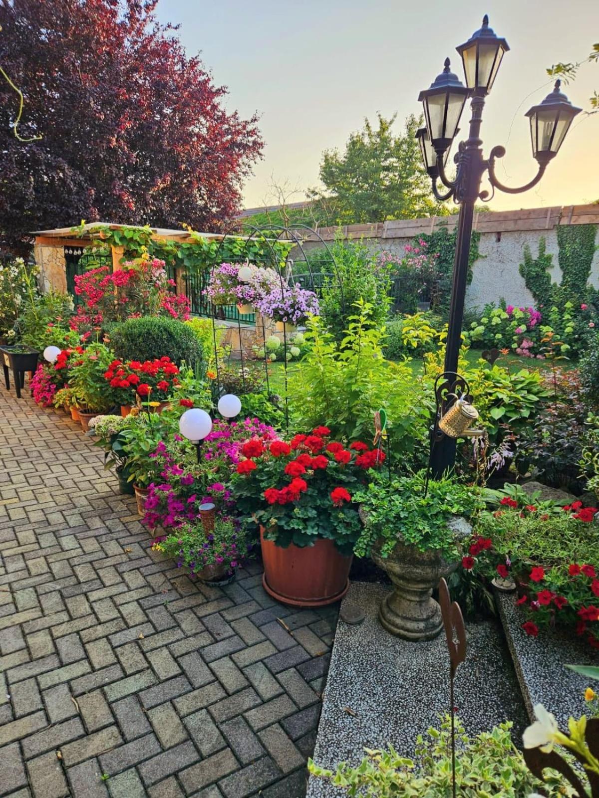 Ferienwohnung Koppi Pomogy Kültér fotó